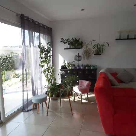 Semesterbostad Piscine Vue Pietrosella